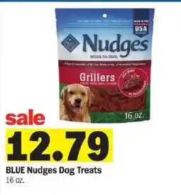 Meijer Blue Nudges Dog Treats offer