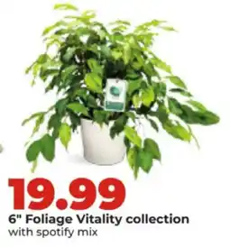 Hy-Vee Foliage Vitality collection with spotify mix offer