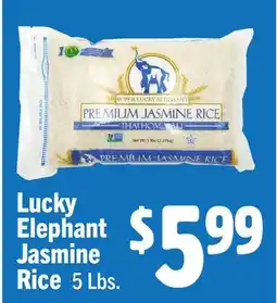 Vallarta Supermarkets Lucky Elephant Jasmine Rice offer
