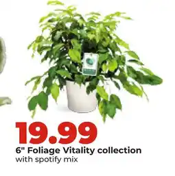Hy-Vee 6 Foliage Vitality collection with spotify mix offer