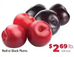 Family Fresh Market Red or Black Plums offer