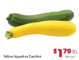 Family Fresh Market Yellow Squash or Zucchini offer