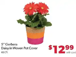 Family Fresh Market 5" Gerbera Daisy in Woven Pot Cover offer