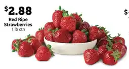 Fareway Red Ripe Strawberries offer
