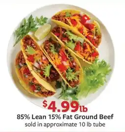 Fareway 85% Lean 15% Fat Ground Beef offer