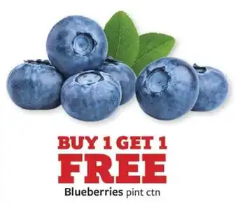 Fareway Blueberries offer