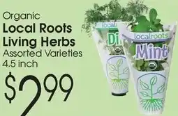 Family Fare Local Roots Living Herbs offer