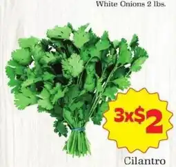 Supermercado Nuestra Familia Cilantro offer