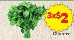 Supermercado Nuestra Familia Cilantro offer