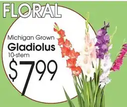 Family Fare Floral Michigan Grown Gladiolus offer