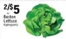 Met Foodmarkets Boston Lettuce offer