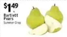 Met Foodmarkets Bartlett Pears offer