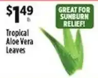 Pioneer Supermarkets Tropical Aloe Vera Leaves offer