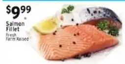 Met Foodmarkets Salmon Fillet offer