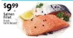 Met Foodmarkets Salmon Fillet offer