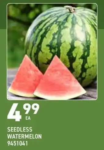 Seedless Watermelon