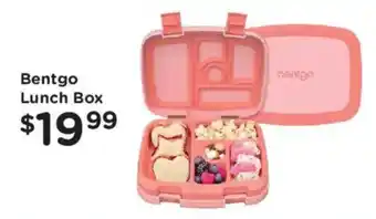 Bentgo lunch box