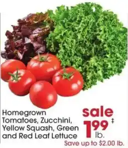 Giant Eagle Homegrown Tomatoes, Zucchini, Yellow Squash, Green and Red Leaf Lettuce offer