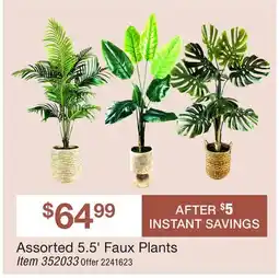 BJ’s Assorted 5.5' Faux Plants Item offer