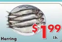 Valley Marketplace Herring offer