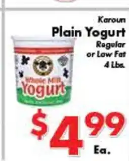 Valley Marketplace Karoun Plain Yogurt offer