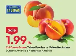 Stater Bros California Grown Yellow Peaches or Yellow Nectarines offer