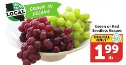Vons Green or Red Seedless Grapes offer