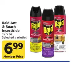 Vons Raid Ant & Roach Insecticide offer