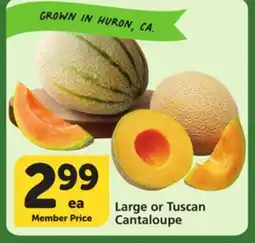 Vons Large or Tuscan Cantaloupe offer