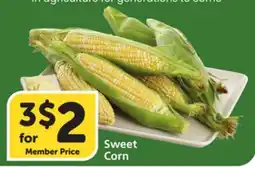 Vons Sweet Corn offer