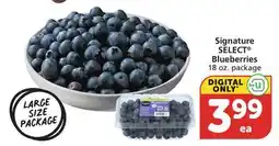 Vons Signature SELECT Blueberries offer