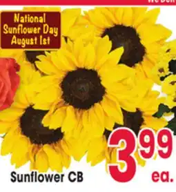 Jewel-Osco Sunflower CB offer