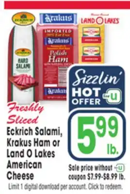 Jewel-Osco Eckrich Salami, Krakus Ham or Land O Lakes American Cheese offer