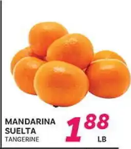 El Paso Grande MANDARINA SUELTA offer