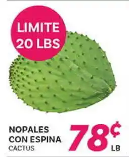 El Paso Grande NOPALES CON ESPINA offer