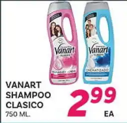 El Paso Grande VANART SHAMPOO CLASICO offer