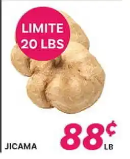 El Paso Grande JICAMA offer