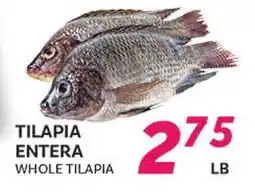 El Paso Grande WHOLE TILAPIA offer