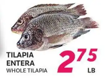 El Paso Grande WHOLE TILAPIA offer