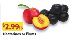 Fresh Thyme Nectarines or Plums offer