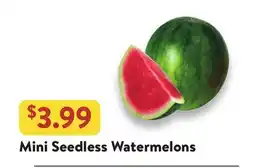 Fresh Thyme Mini Seedless Watermelons offer