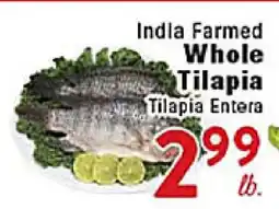 Rio Valley Market India Farmed Whole Tilapia offer