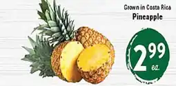 Rio Valley Market Pineapple offer