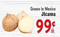 Rio Valley Market Jicama offer
