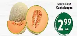 Rio Valley Market Cantaloupes offer
