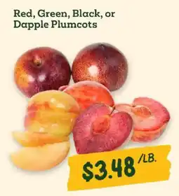 Sprouts Farmers Market Red, Green, Black, or Dapple Plumcots offer