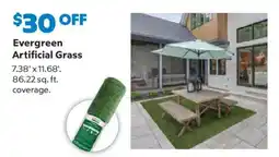 Sam's Club Evergreen Artificial Grass offer