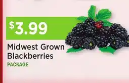 Heinen's Midwest Grown Blackberries offer
