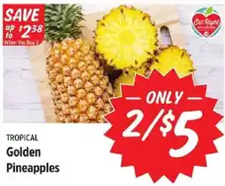 Rouses Tropical Golden Pineapples offer