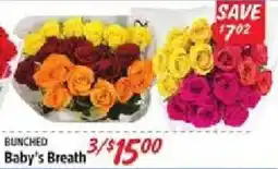 Rouses Bunched Baby's Breath offer